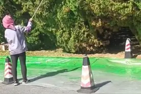 有人给路边树木喷“绿漆”造假？此前也有草坪喷绿遭质疑，多方回应图片