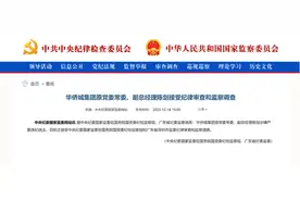 华侨城集团原党委常委、副总经理陈剑被查，供职华侨城23年图片