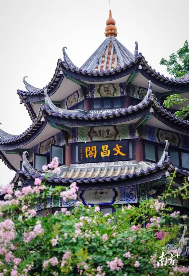 文化中国行·处暑 | 炎夏收梢凉风起，秋实累累压枝低