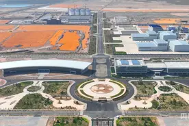 甘肃张掖甘州区：“小种子”撑起“大产业”图片