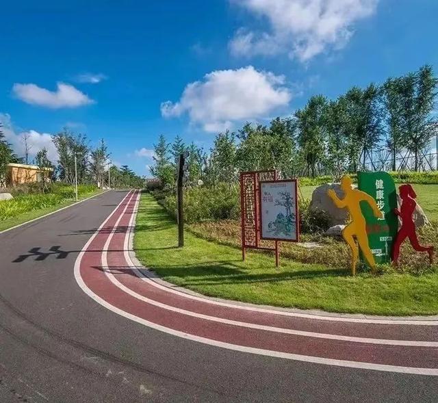 海风开道，秋色伴跑！威海喊你“动起来”~