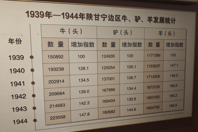 南泥湾红色旅游热度不减：今年已接待游客110万余人次
