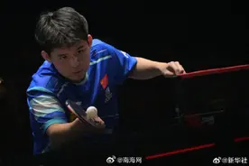 2025WTT新加坡大满贯：林诗栋战胜梁靖崑男单夺冠图片