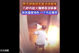 智库观察|电动车电池安全再引关注，多个知名品牌被点名图片