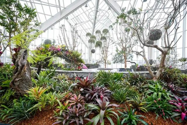 预计4月正式向公众开放！宁波新增一个打卡好去处