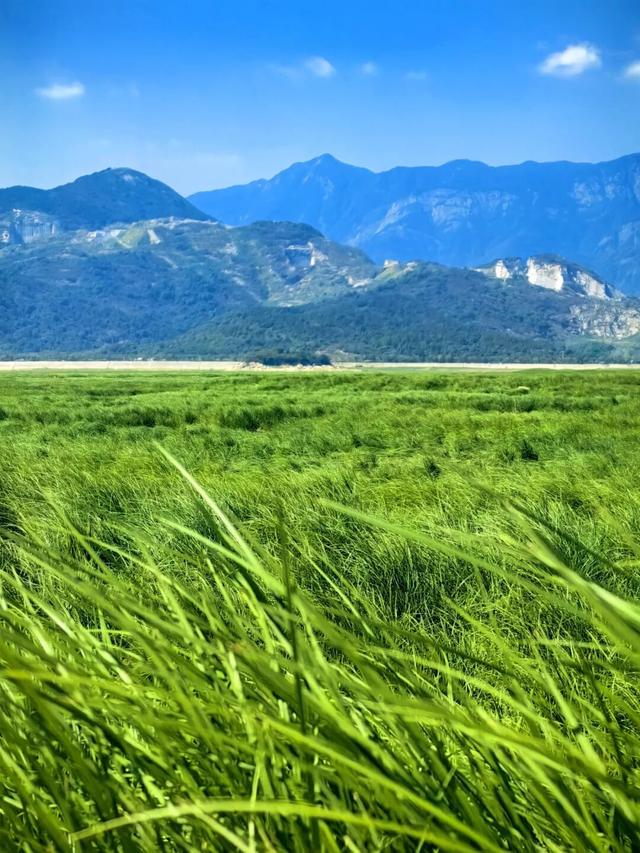 2025 收尾，谁在想念江西这座 “浪浪山”？