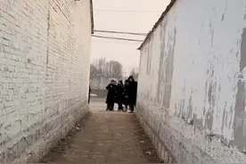 女生第一次带男友回家过年 一群发小在胡同口围观拍照图片