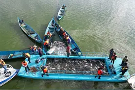 美好生活在云南｜12月25日，玉溪江川要开渔啦！图片