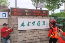 本周末，这里可能要堵车！紫藤盛花期来了，嘉定这个小公园或采取暂停入园的限流措施图片