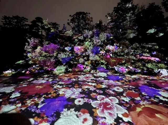 下雨也挡不住看露天电影的热情！上海世博文化公园昨晚点亮“璀璨之夜”
