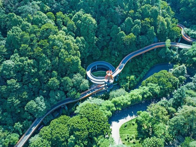 盘点四川宜宾建设国际旅游城市中的文旅新词