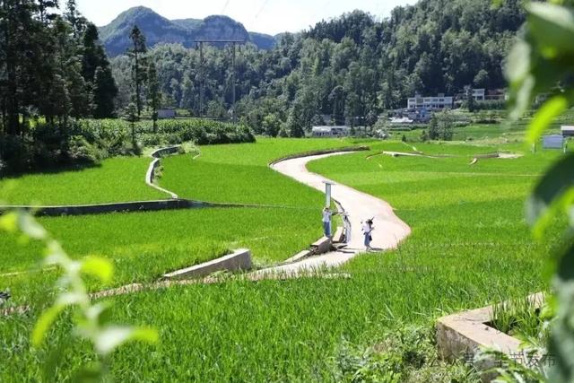 毕节不止有“悬崖村”,这些田园风光更美!