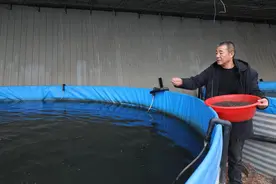 沙漠边养殖鲈鱼 开启致富新模式图片