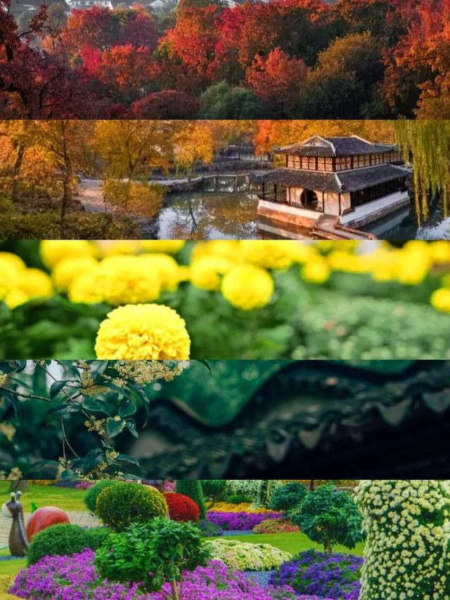 苏州的秋天，给你点“颜色”看看！