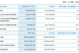 国泰君安上半年净利50.16亿元 投资银行收入同比下降27.84%图片