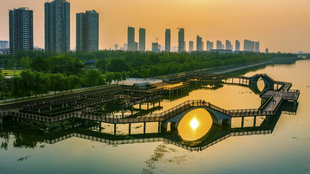 我们，如此热爱洛阳