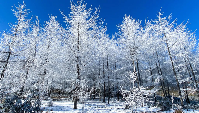 【冬季暖阳 凉山不凉】凉山谷克德：在云端雪境，赴一场川西冬日之约