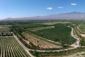展示贺兰山东麓葡萄酒产区风土魅力  宁夏62家酒庄将亮相深圳秋季糖酒会图片
