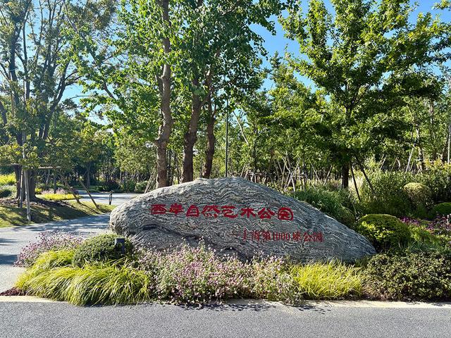 上海第1000座公园在哪里？什么样？适合遛娃吗？