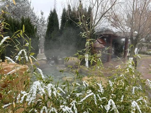 赴新岁之约，威海文旅“跨年大餐”来了！