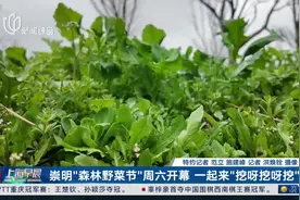 崇明“森林野菜节”周六开幕 一起来“挖呀挖呀挖”视频封面