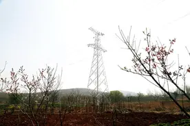 枣庄电网220千伏建夏线四次迁改获赞“功勋线路”图片