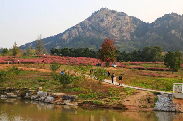 山东日照：一叶知秋意 满目皆画卷