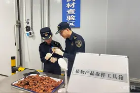 磨憨铁路口岸首票进口中药材顺利通关图片