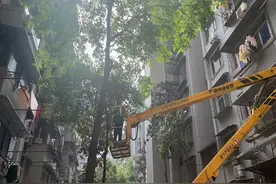 社区及时清理枯树排除安全隐患，居民纷纷拍手称赞图片
