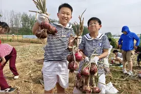 漯河小学开展洋葱主题跨学科劳动实践活动图片