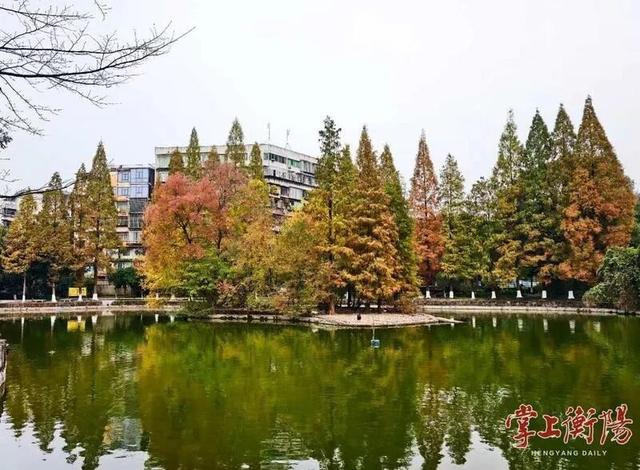 冬日衡阳，超浪漫！