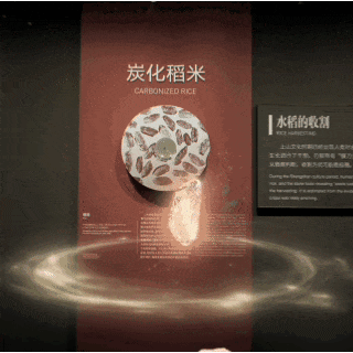 藏不住了！浙江省博国庆重磅上新，穿越万年的惊喜已就位！（文末有福利）