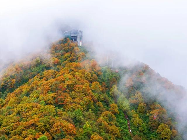 别等天晴了！雨天的秋日瓦屋，藏着你没见过的朦胧浪漫
