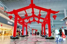 最全最细！民航、铁路春运出行攻略来了图片