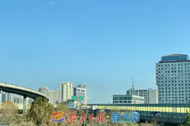 冷如“钻冰箱”！今日济南气温刷新今冬纪录，明晨局地仅-6℃图片