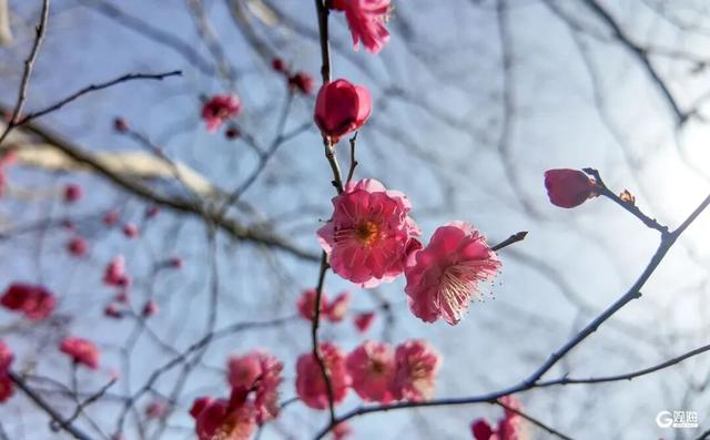 开了！开了！就在中山公园，不少人为她赶来，预计马上爆满……