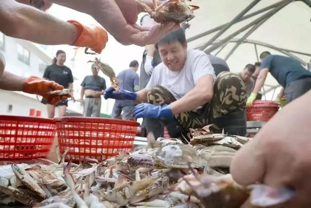 上海⇋吕四海鲜定制专线开通，29.9元赴一场舌尖上的海洋之约