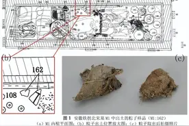 中国最早的实物肉粽，主人是她！图片