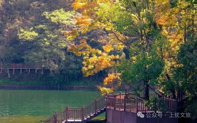 阳明湖最新“枫”情预告