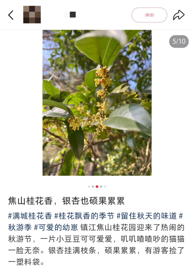 顶流来了！镇江人终于等到了