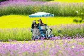 上海乐高乐园度假区下一站 去哪里吃、住、玩？图片