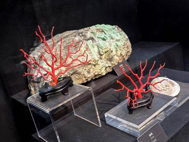 烟台自然博物馆：“五美融育”绘就 “仙境海岸·最美博馆”