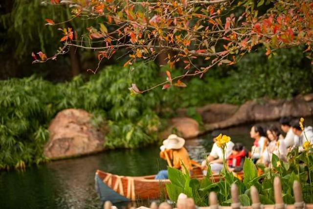 上海迪士尼乐园最新疯玩指南！看“雪”、撸萌友、炫美食，“奇幻冬日季”让你暖到心坎里～｜沪上金秋进博榜