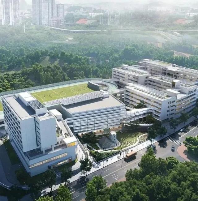 官方紧急提醒!深圳多人报警,都是这原因!近期高发