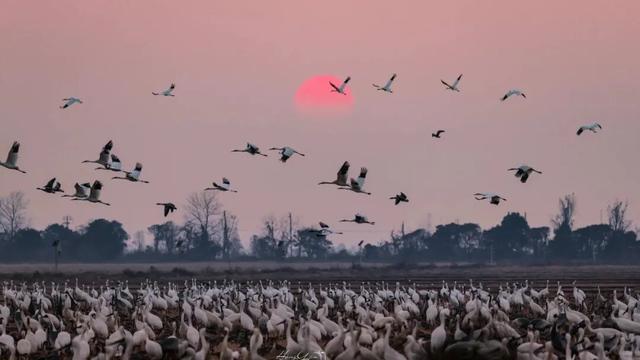 今日大雪 | 江西过冬最浪漫的事