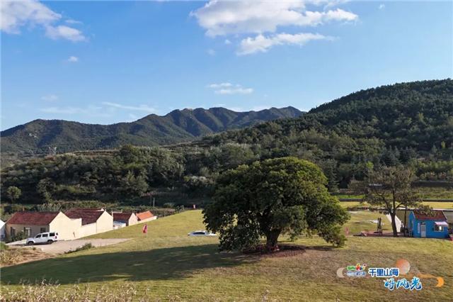 出发！抓住秋天的尾巴！威海“拾秋地图”上新啦