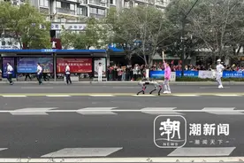 亚运背后的浙江制造⑩亚残运会火炬传递现场，这只智能导盲犬什么来头？图片