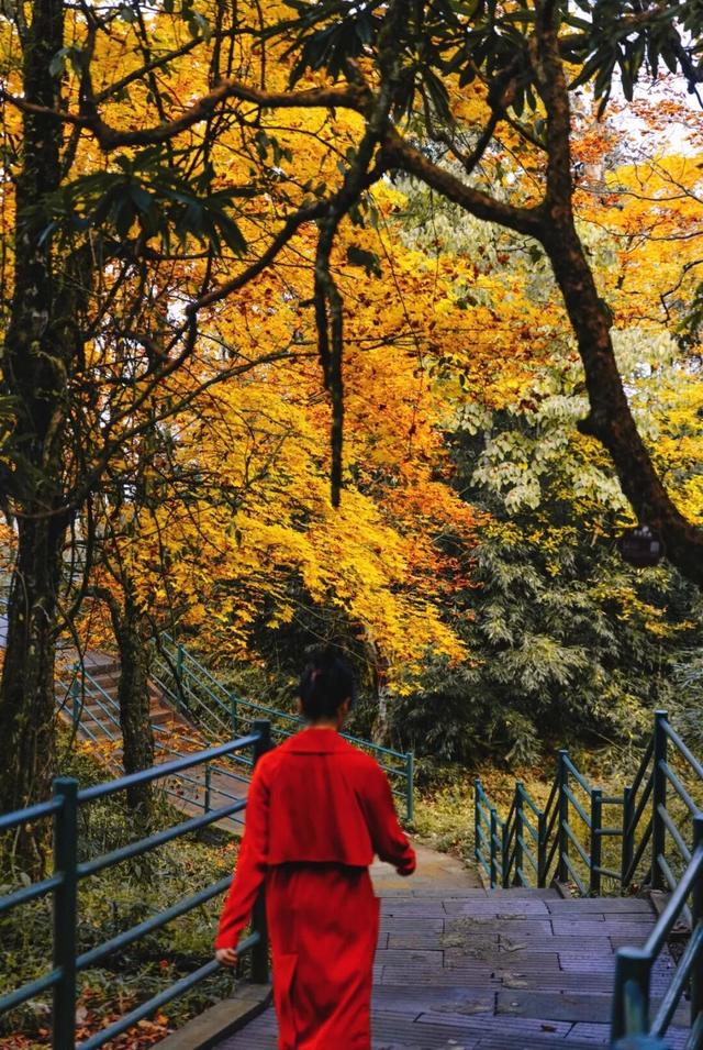 值哭！秋日的瓦屋山超有氛围好吗~