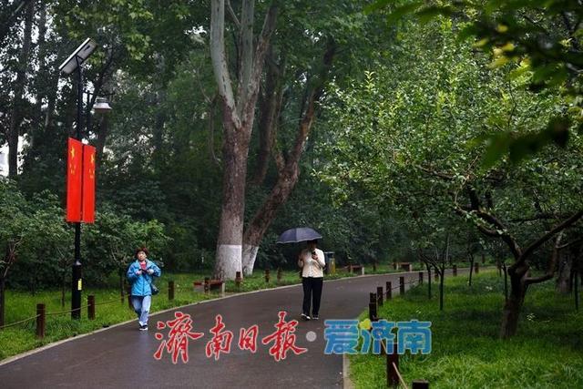 一年四季 泉在济南|细雨如丝，百花公园秋意朦胧