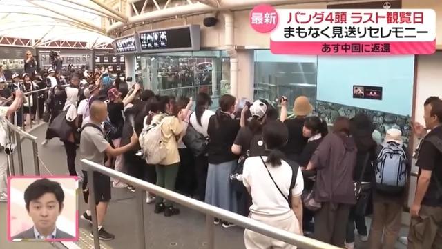 4只旅日大熊猫回国,日本民众泪别:“不敢相信它们要离开这里”